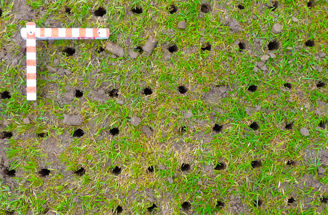 aerifizieren im fruehjahr 05 aerifzieren lochbild