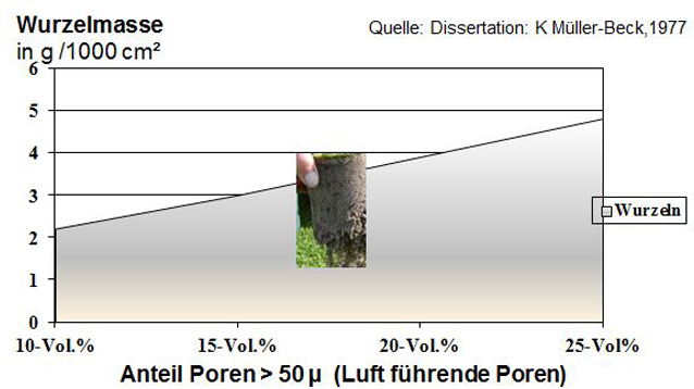aerifizieren im fruehjahr 06 wurzelmasse diagramm