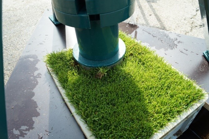 INTERGREEN Rasenforschung 01