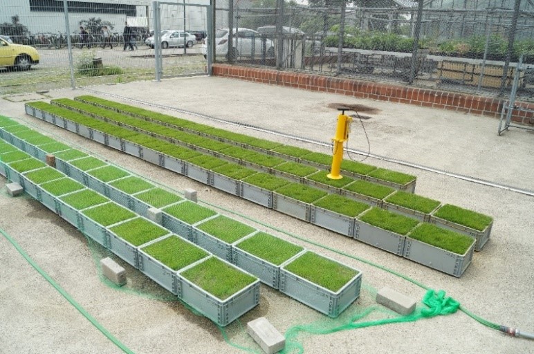 INTERGREEN Rasenforschung 02
