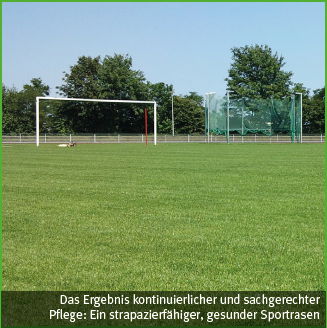 intergreen sportrasenpflegesystem ergebnis