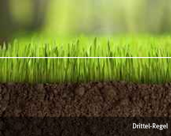 maehtechnik drittelregel