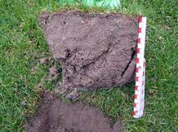 spaten probe sandreiche rts