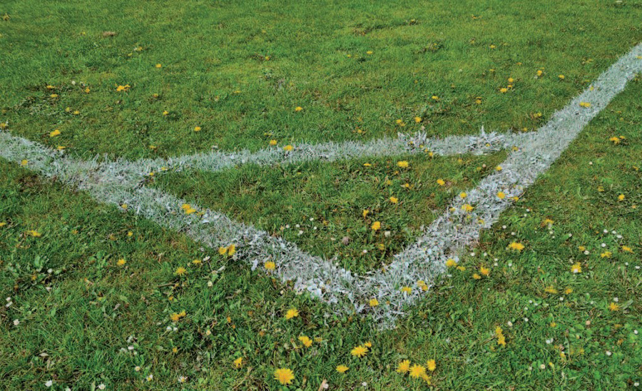 Abb.2: Veränderung des Pflanzenbestandes auf dem Sportplatz bei Pflegereduzierung. Foto: K. Müller-Beck Abb.2: Veränderung des Pflanzenbestandes auf dem Sportplatz bei Pflegereduzierung. Foto: K. Müller-Beck