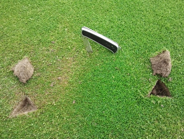 wassermanagement 05 lokal begrenzte trockenstelle sportrasen