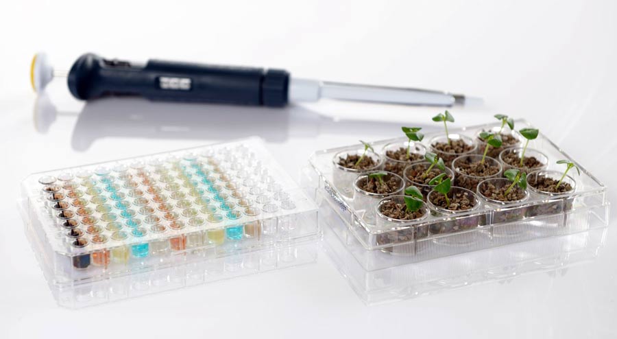 biostimulanzien 02 testverfahren