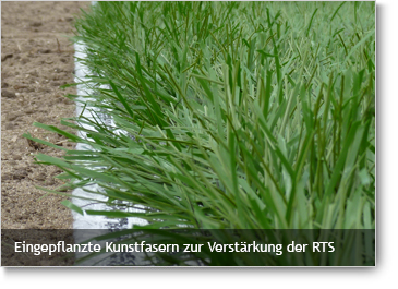 INTERGREEN HOMEPAGE BELAGSARTEN Hybridrasen 003 Eingepflanzte Kunstfasern