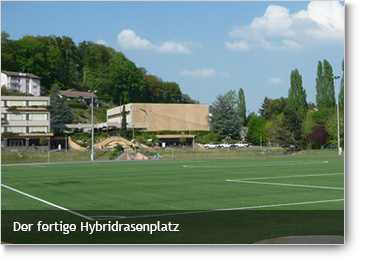 INTERGREEN HOMEPAGE BELAGSARTEN Hybridrasen 004 Fertigstellung