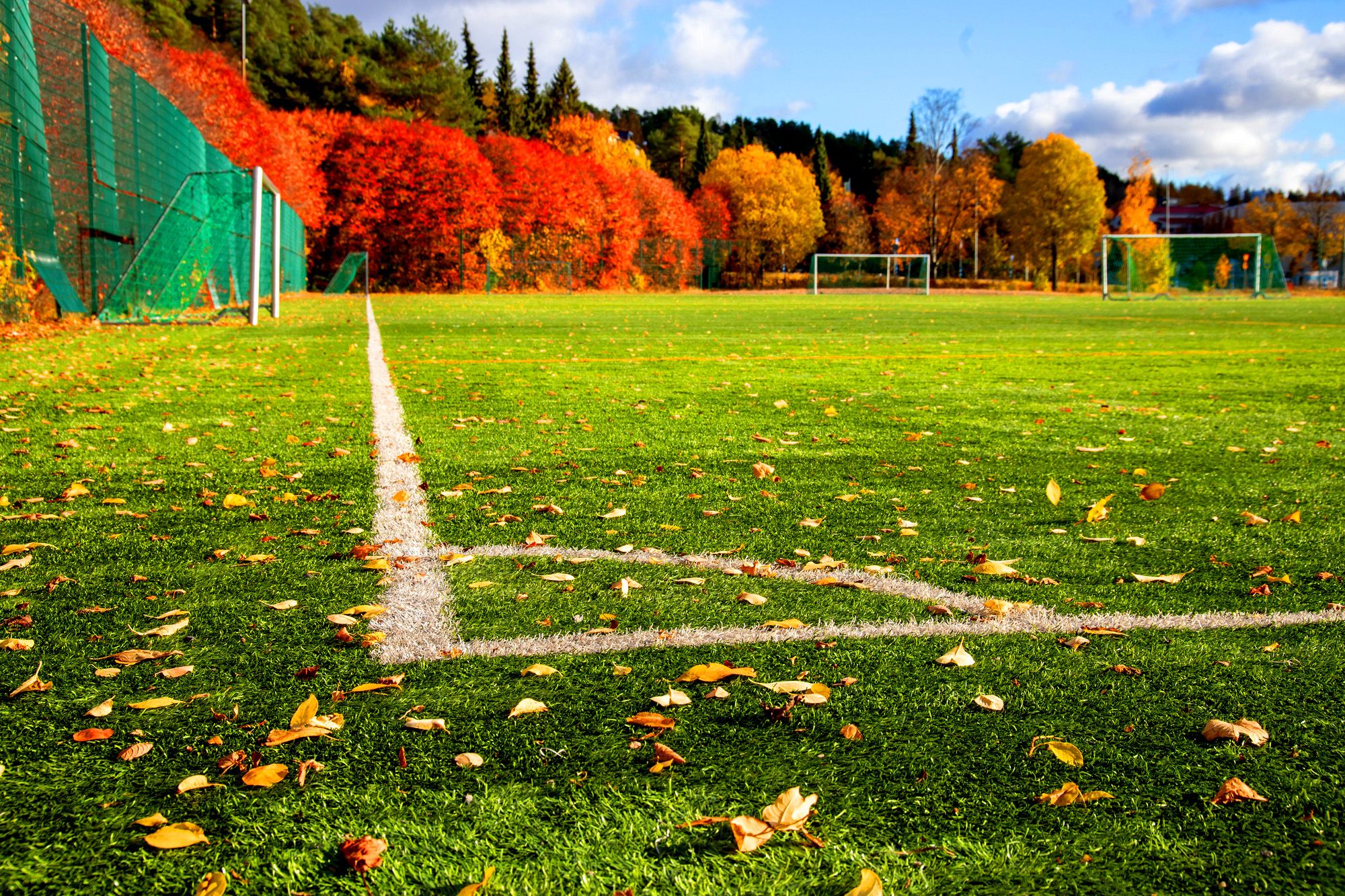 Der Herbst ist die beste Zeit zur Pflegeplanung für das nächste Jahr